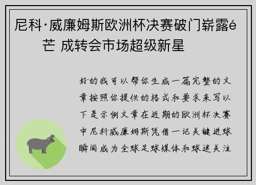 尼科·威廉姆斯欧洲杯决赛破门崭露锋芒 成转会市场超级新星 尼科·威廉姆斯欧洲杯决赛破门崭露锋芒 成转会市场超级新星